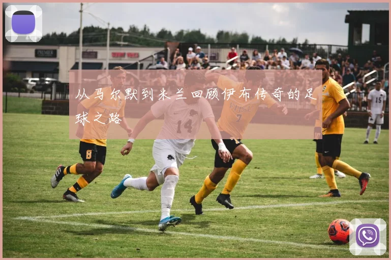 从马尔默到米兰回顾伊布传奇的足球之路