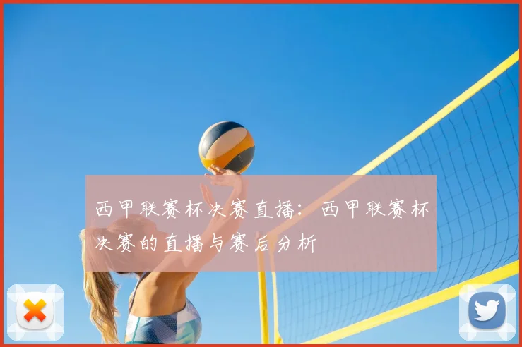 西甲联赛杯决赛直播：西甲联赛杯决赛的直播与赛后分析
