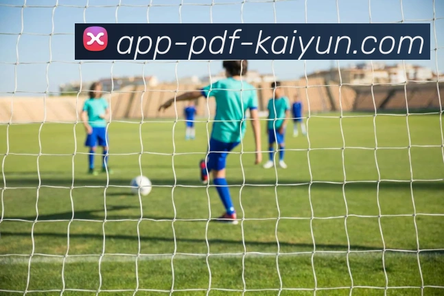 开云APP服务体系